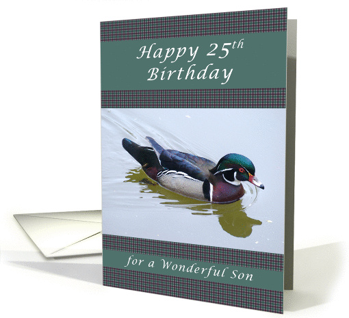 Happy 25th Birthday for a Son, Wood Duck and Gingham Background card