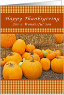 Happy Thanksgiving, For a Son, Pumpkins card