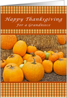 Happy Thanksgiving, For a grandniece, Pumpkins card