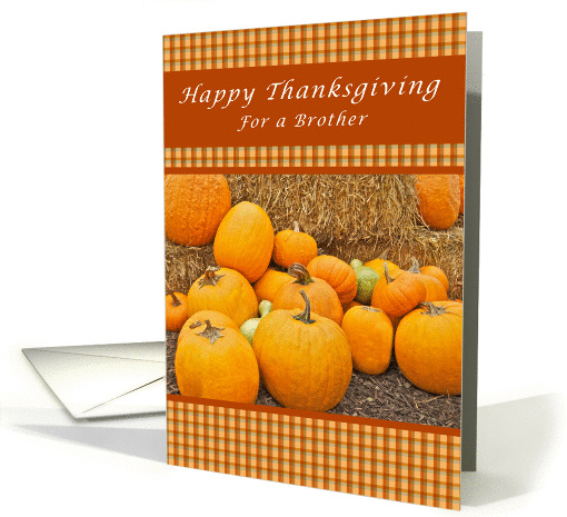 Happy Thanksgiving, For a Brother, Pumpkins card (1207116)
