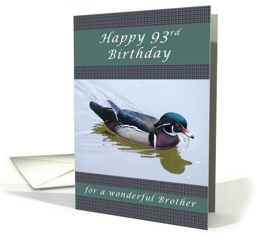 Happy 93rd Birthday for a Brother, Wood Duck and Gingham... (1209334)