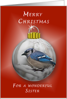 Merry Christmas for a Wonderful Sister, Bluejay Ornament card