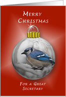 Merry Christmas for a Great Secretary, Bluejay Ornament card