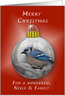 Merry Christmas for a Wonderful Niece and Family, Bluejay Ornament card