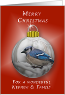 Merry Christmas for a Nephew and His Family, Bluejay Ornament card