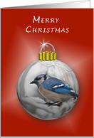 Merry Christmas, Bluejay Ornament card