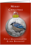 Merry Christmas, For a Granddaughter & Boyfriend, Bluejay Ornament card