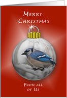 Merry Christmas, From all of Us, Bluejay Ornament card