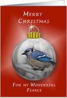 Merry Christmas, For a Wonderful Fiance, Bluejay Ornament card