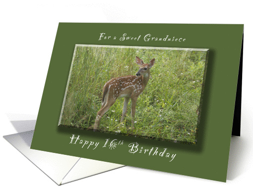 Happy 16th Birthday for a Grandniece, A young Fawn in the spring card