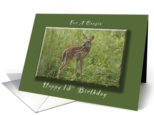 Happy 13th Birthday for a Cousin, A Young Fawn in the Spring card