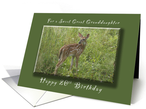 Happy 20th Birthday for a Great Granddaughter, A Young Fawn card