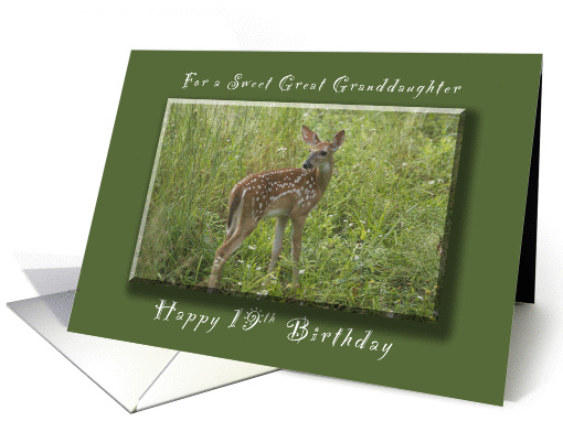 Happy 19th Birthday for a Great Granddaughter, A Young Fawn card