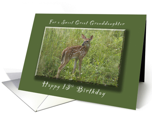 Happy 13th Birthday for a Great Granddaughter, A Young Fawn card