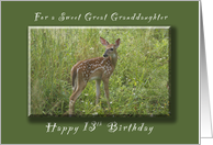 Happy 13th Birthday for a Great Granddaughter, A Young Fawn card