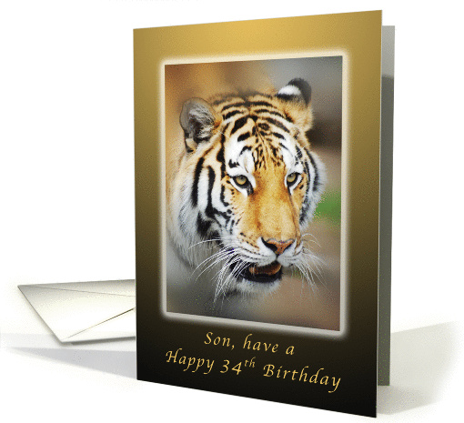 Son, Happy 34th Birthday Wish, Tiger card (1223974)