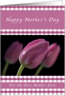 Happy Mother’s Day for a Mother, Purple Tulips card