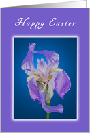 Happy Easter, Purple...