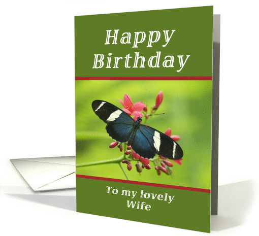 Happy Birthday to My Lovely Wife, Butterfly card (1238188)