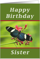 Happy Birthday Sister, Butterfly card