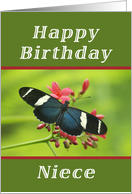 Happy Birthday Niece, Butterfly card