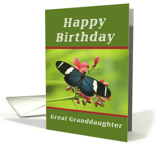 Happy Birthday Great Granddaughter, Butterfly card (1238262)