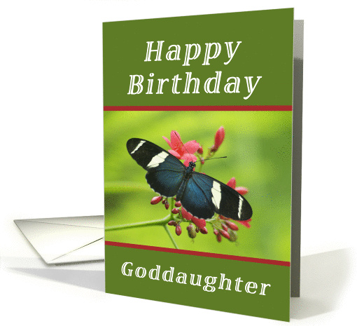 Happy Birthday Goddaughter, Butterfly card (1238286)