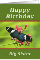 Happy Birthday Big Sister, Butterfly card