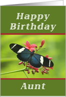 Happy Birthday Aunt, Butterfly card