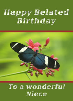 Happy Belated Birthday Niece, Butterfly