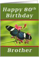 Happy 80th Birthday Brother, Butterfly card