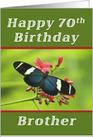 Happy 70th Birthday Brother, Butterfly card