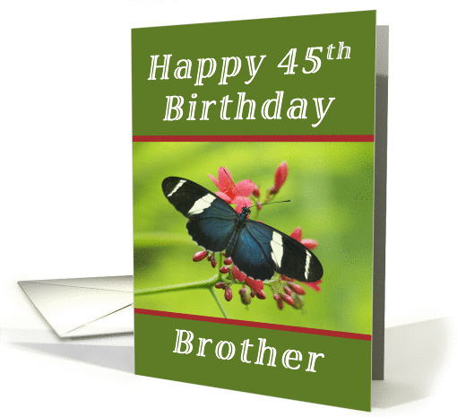 Happy 45th Birthday Brother, Butterfly card (1239280)