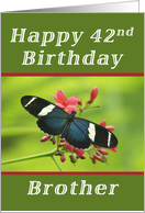 Happy 42nd Birthday Brother, Butterfly card