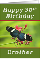 Happy 30th Birthday Brother, Butterfly card