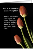 God’s Gift of Love Easter for a Granddaughter, Tulips card
