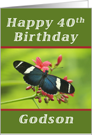 Happy 40th Birthday Godson, Butterfly card
