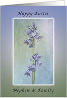 Happy Easter for a Nephew & Family, Purple Hyacinth Flowers card
