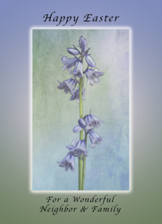 Happy Easter for a Neighbor & Family, Purple Hyacinth Flowers
