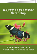 Happy September Birthday, Butterfly card