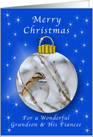 Season’s Greetings for a Grandson and His Fiancee, Sparrow Ornament card