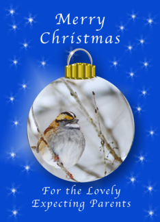 Season's Greetings for Expecting Parents, Sparrow Ornament