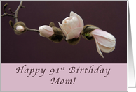 91st Birthday Mom, Magnolia Blossom card