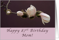 87th Birthday Mom, Magnolia Blossom card