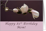 85th Birthday Mom, Magnolia Blossom card