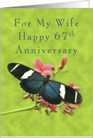 Happy 67th Anniversary for my Wife, Butterfly on Red Flowers card