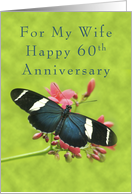 Happy 60th Anniversary for my Wife, Butterfly on Red Flowers card