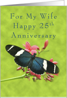Happy 25th Anniversary for my Wife, Butterfly on Red Flowers card