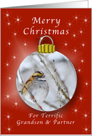 Merry Christmas for a Grandson and Partner, Sparrow Ornament card
