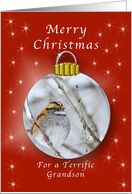 Merry Christmas for a Grandson, Sparrow Ornament card
